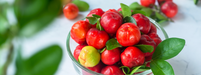 Q+ Vits | Nutrientes para viver intensamente!